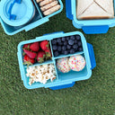 Quad Bento Lunch Box Light Blue