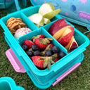 Quad Bento Lunch Box Teal