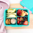 Quad Bento Lunch Box Teal