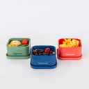 Silicone Midi Snack Boxes (3 Pack) - Leakproof - Bolds