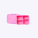 Quad Bento Lunch Box Pink