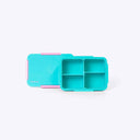 Quad Bento Lunch Box Teal
