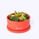 Silicone Bento Box Round - Orange